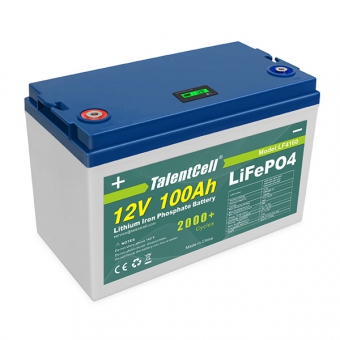 12V 100Ah LiFePO4 Battery - LF4160